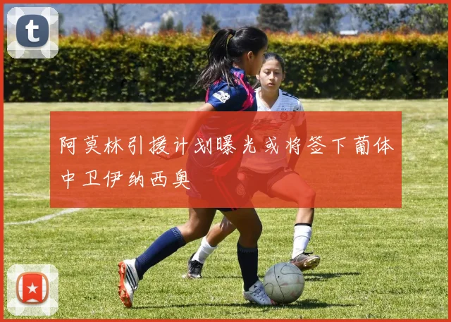 阿莫林引援计划曝光或将签下葡体中卫伊纳西奥