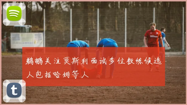 鹈鹕关注莫斯利面试多位教练候选人包括哈姆等人
