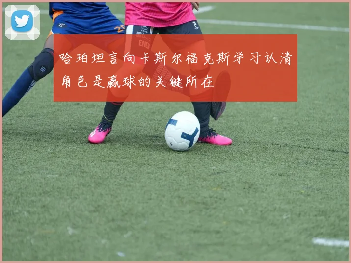 哈珀坦言向卡斯尔福克斯学习认清角色是赢球的关键所在